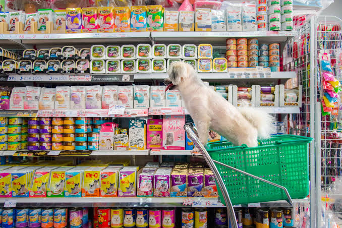 Established Pet Retail And Grooming Business 1 Established Pet Retail And Grooming Business 1