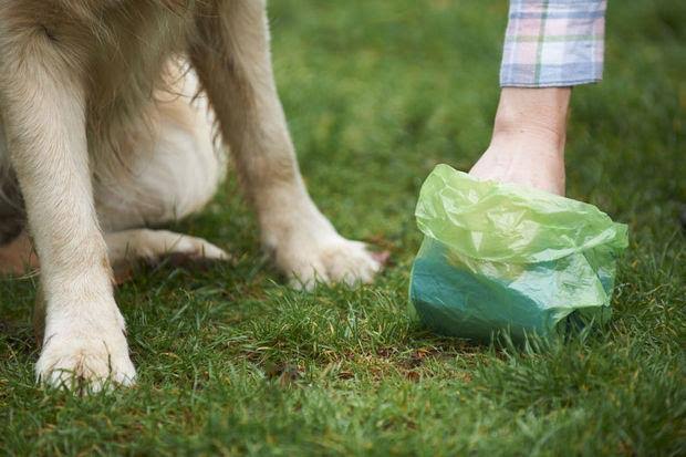 Amazing Pet Waste Management Company In West Michigan 1