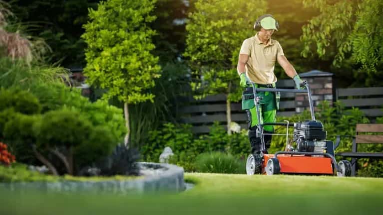 Profitable Orlando Lawn Care Business 1 Profitable Orlando Lawn Care Business 1