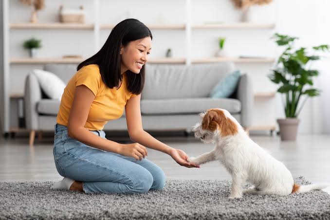 Profitable Established Pet-Services Business With Recurring Revenue Rochester-MN For Sale 1