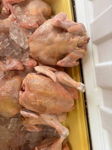 Mississippi 4 Store Multi Unit Chicken Franchise, $763K in earnings 1