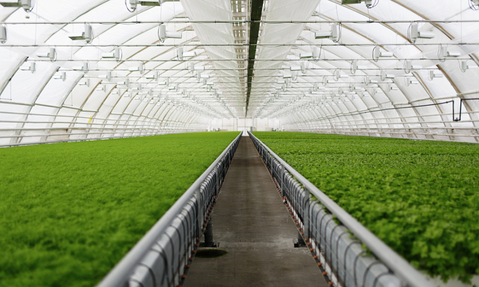 Absolutely incredible wholesale nursery - 500,000 sq. ft. greenhouse 1