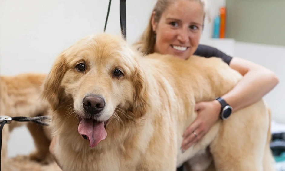 High-Margin Pet Grooming Salon 1 High-Margin Pet Grooming Salon 1