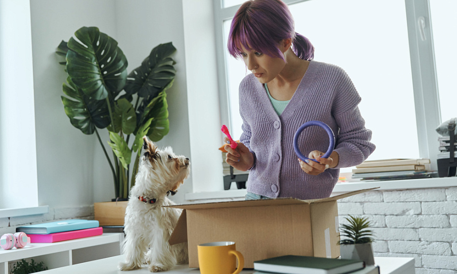 Hands Free Amazon FBA Pet Supply Business For Sale 1