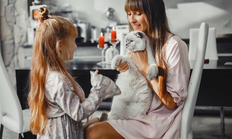 Award-Winning Pet Grooming Business For Sale 1