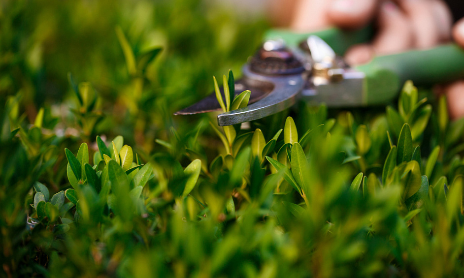 Growing Turf And Lawn Care Business For Sale 1