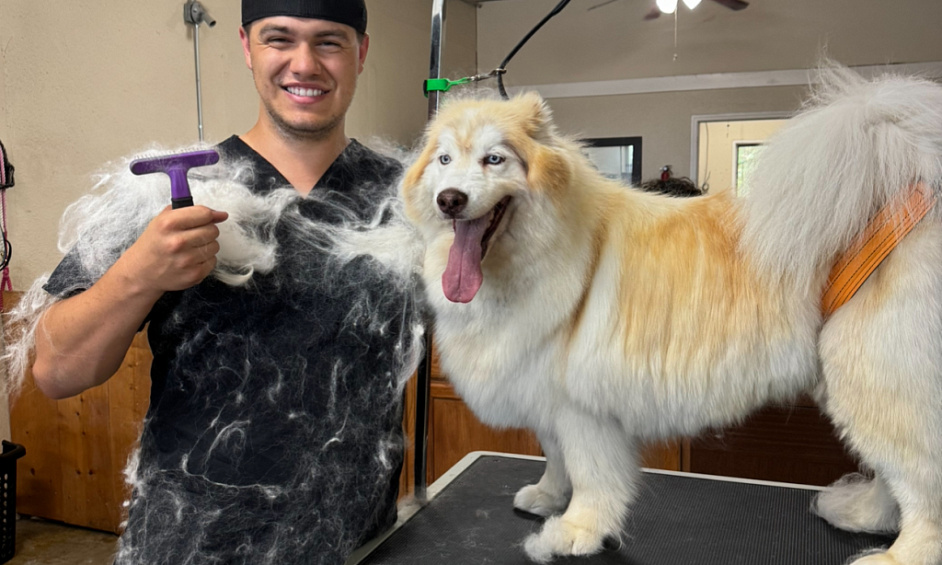 Zoomin Groomin Kansas – Mobile Pet Grooming 1