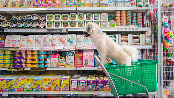 Pet grooming for sale in Douglass-Kansas 227161