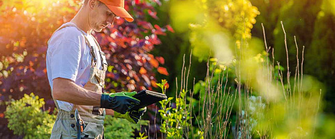 Landscape Gardening for sale in Kansas City-Missouri 289774