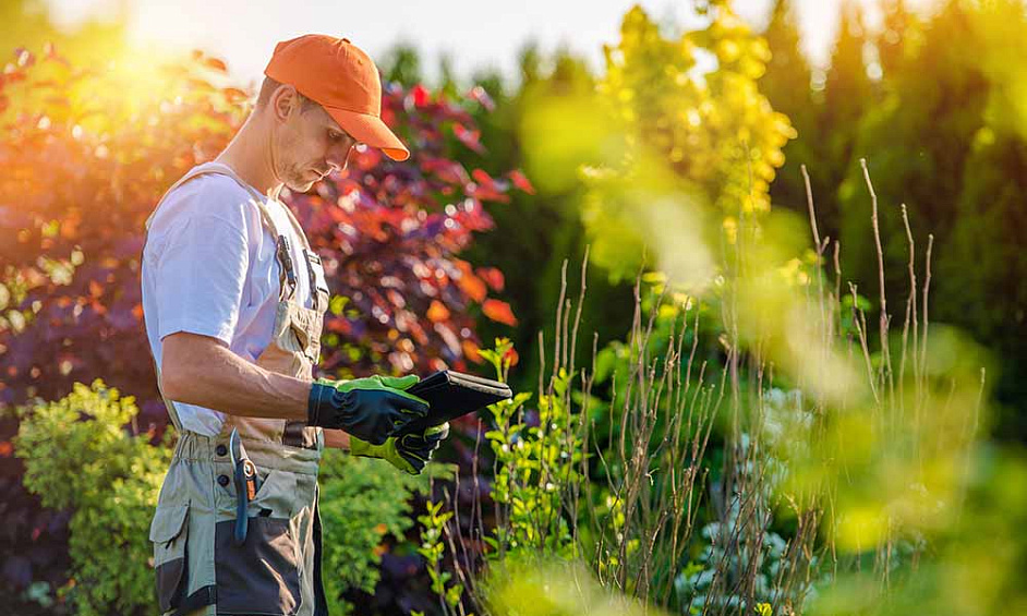 Established Landscaping Business In Missouri 1