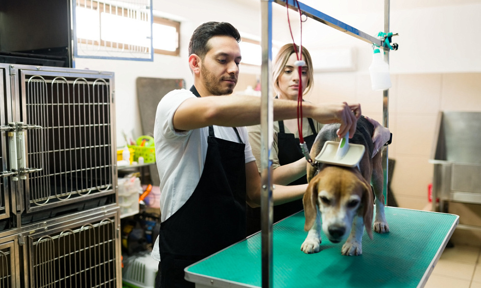 Profitable Pet Grooming Opportunity Near Burbank For Sale 1
