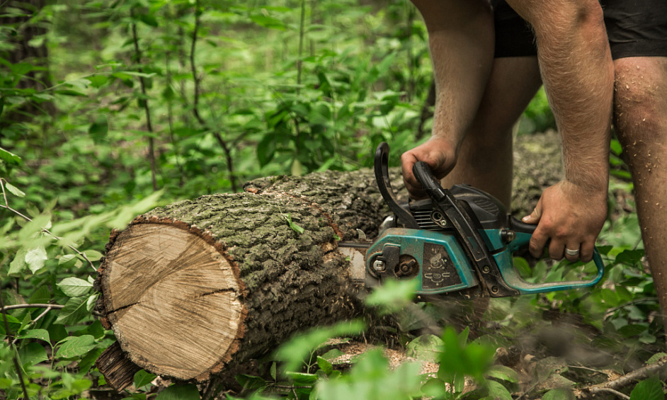 Tree Service Business For Sale 1