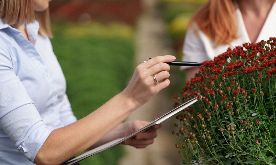 Established Recurring Lawn Care Business With Crew – Bossier Parish 1 Established Recurring Lawn Care Business With Crew – Bossier Parish 1