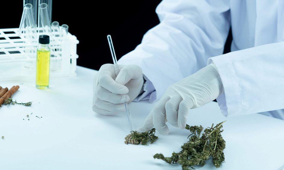 Cannabis Medical Dispensary and Manufacturer,Distributor in Maine 1