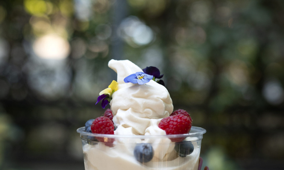 High-Volume Well-Established Pinkberry In San Diego, CA For Sale 1