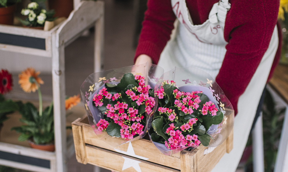 Wholesale Flowers To Retail Stores For Sale 1