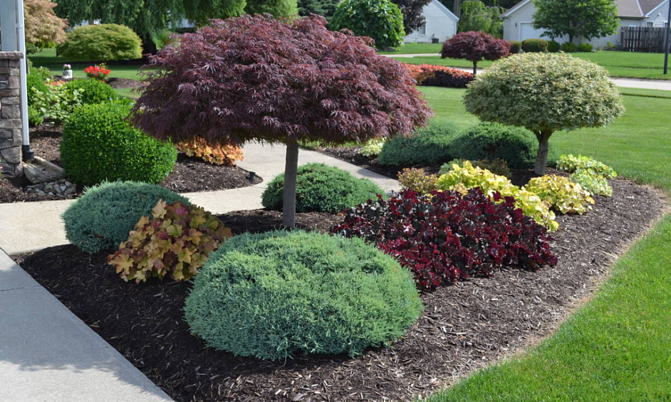 Landscaping & Lawncare Business 1